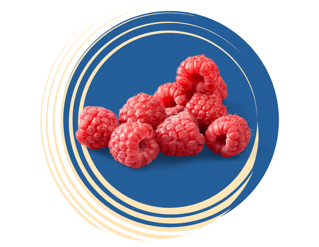 All 12 Dutch Bros SugarFree Flavors, Ranked In 2024 Brew That Coffee